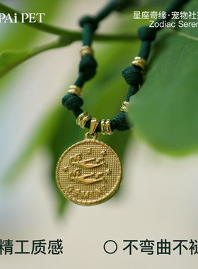 PAiPet手编定制铜防走失名牌项链