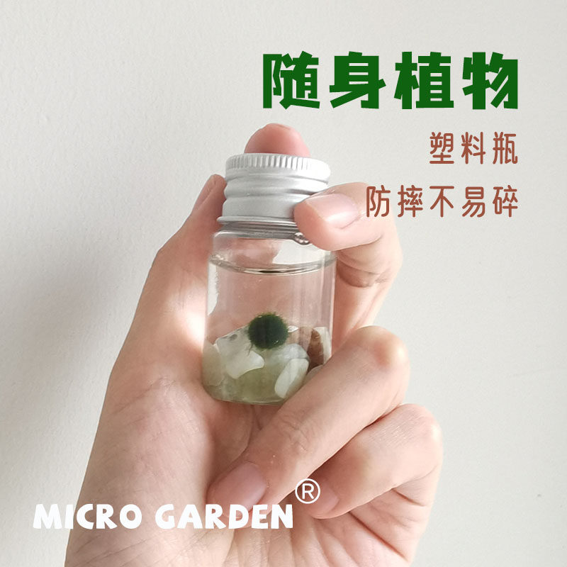 海藻球随身瓶小植物桌面宠物口袋迷你生态瓶趣味礼物diy 新手推荐,淘宝优惠券,粉丝福利购,淘宝优惠卷