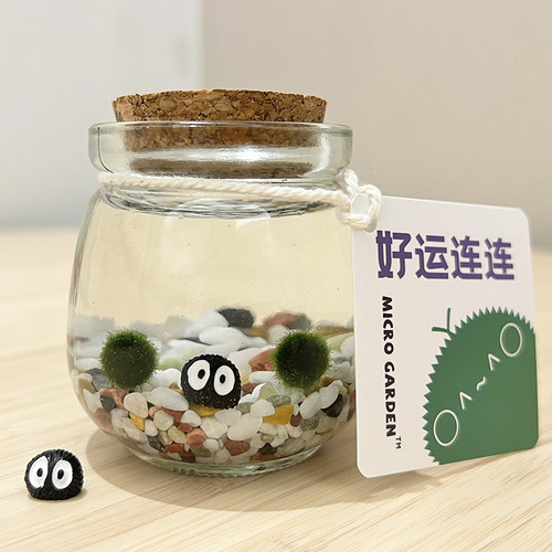 马里莫海藻球生态瓶桌面宠物迷你小植物 diy生日礼物趣味造景瓶 - 图0