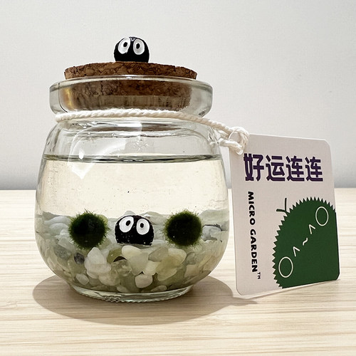马里莫海藻球生态瓶桌面宠物迷你小植物 diy生日礼物趣味造景瓶 - 图2