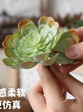 仿真多肉植物情人泪件墙面假花