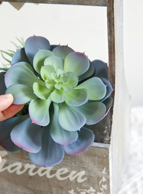 仿真多肉植物造景装饰迷你假绿植室内外diy小摆件塑料花组合套装