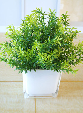 绿色植物仿真花假花塑料花摆件