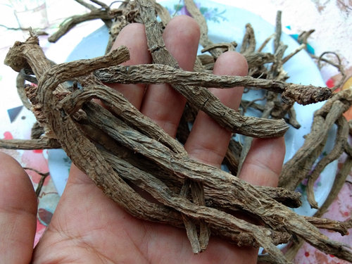 贵州续断中药材干货500克 生晒原药和尚头中草药川段接骨草川续断 - 图0