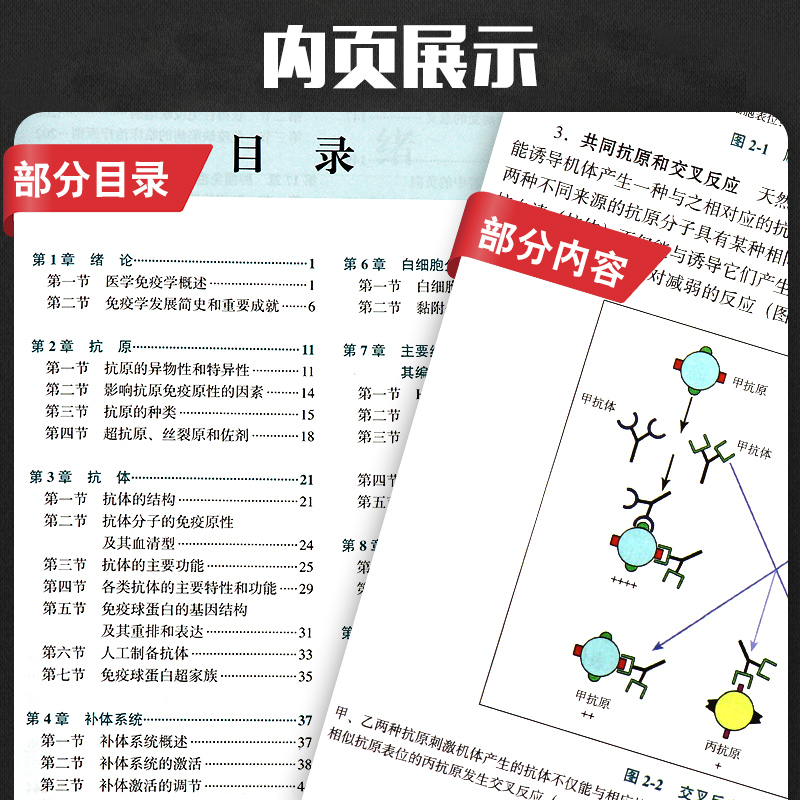 正版医学免疫学第四版第4版十三五本科教材供基础临床护理预防口腔中医药学等专业用安云庆姚智李殿俊北京大学医学出版社-图2