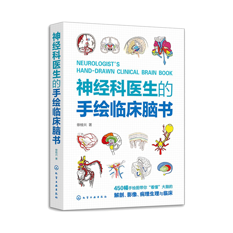 神经科医生的手绘临床脑书 徐桂兴 颅脑解剖神经系统生理与病理 低年资医生神经科医师及医学生参考书籍 临床神经科医生指导书 - 图3