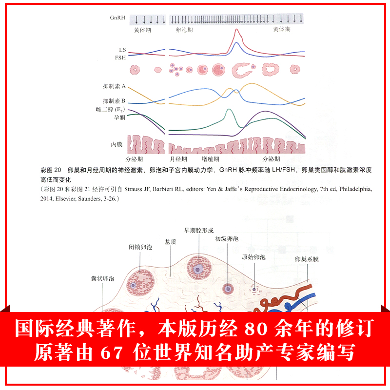 新版梅斯助产学原书5十五版苏麦克唐纳妇产科学助产士专业书手术掌中宝实用检查视频指南手册知识书籍速查临床解剖中华急救-图2