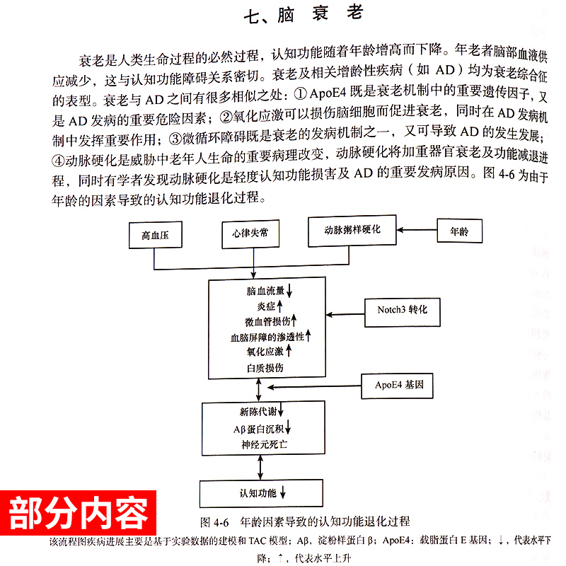 认知功能障碍康复学 阐述了认知功能障碍的解剖结构 基本理论等 陈立典主编 9787030580283 2018年6月出版 版次1平装 科学出版社 - 图2