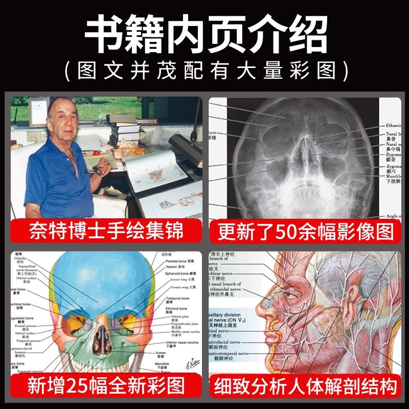 奈特人体解剖学彩色图谱 第8八版 翻译新版临床医学外科学教材书系统局部解刨学解破学书籍人卫图鉴正常医学全彩格氏耐特基础法医 - 图0