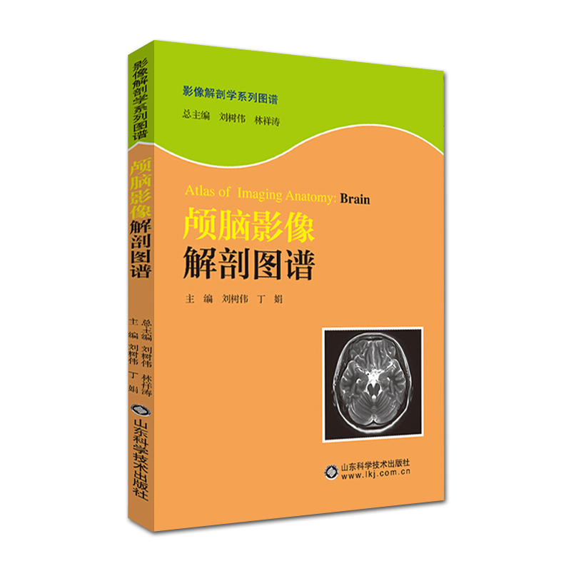 腹部+脊柱与四肢+颅脑+盆部与会+头颈部解剖学结构矢状断层及冠状断层骨骼及肌肉结构医学参考类丛书山东科学技术出版社-图1