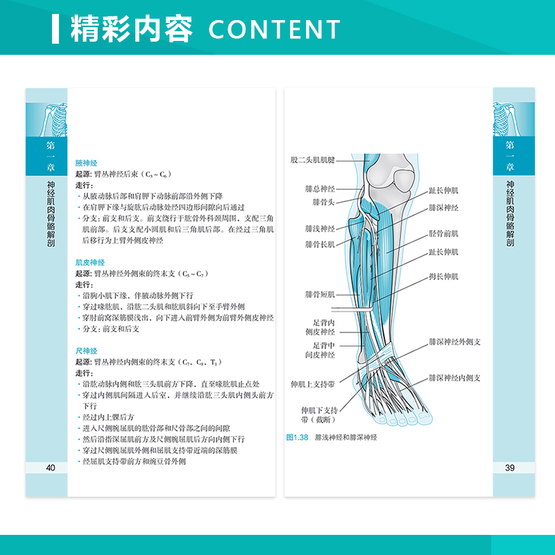 物理治疗师口袋书 知识精要 引进第三版 第3版 红星 雪强 神经肌肉骨骼解剖学物理医学与康复手册口袋书康复医学物理治疗学