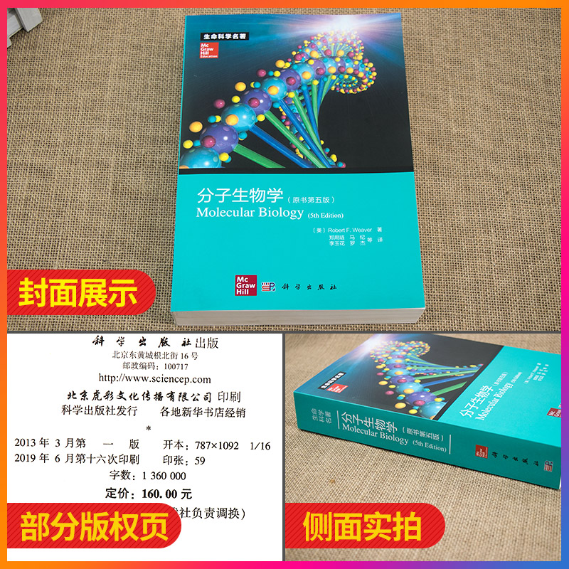 正版 分子生物学 原书 第5五版 生命科学名著 韦弗 郑用琏 分子生物学实验技术参考书 微生物DNA分子生物学教程书籍 科学出版社 - 图0