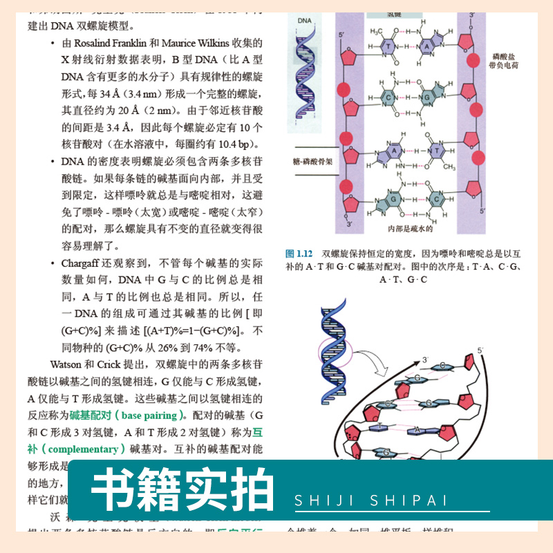 【2021新版】Lewin基因XII分子生物学分子遗传学经典名著Lewin基因xii12自然科学生物科学微生物基因书籍生命科学名著丛书10-图2