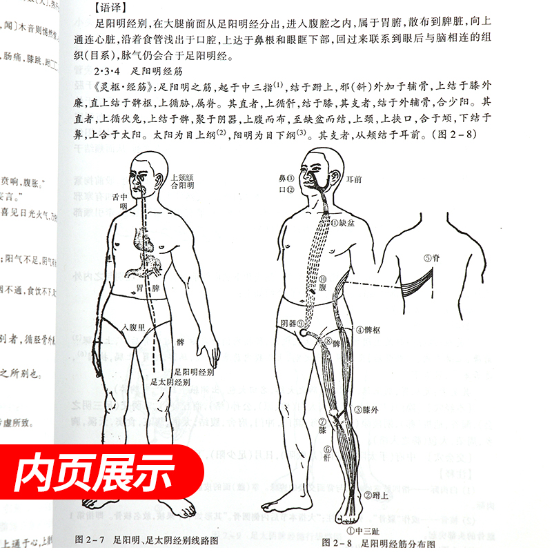 经络学供针灸专业用可搭配中医基础理论结合近代研究资料择要分别叙述高校本科考研经典老版教材李鼎主编上海科学技术出版社-图2