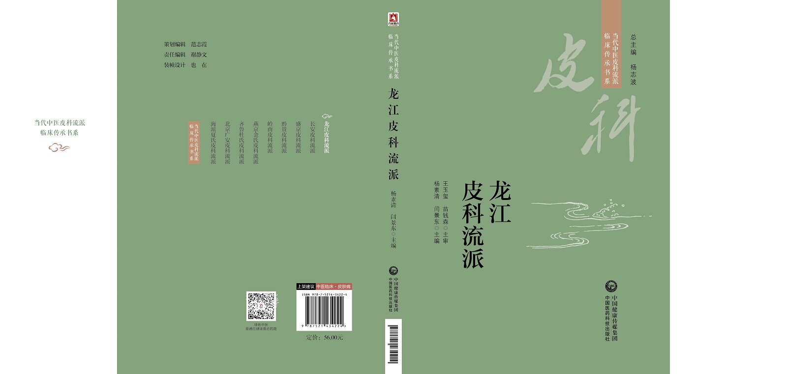 龙江皮科流派 当代中医皮科流派临床传承书系 适用中医皮科临床医生中医药院校师生及科研工作者 杨素清闫景东 中国医药科技出版社