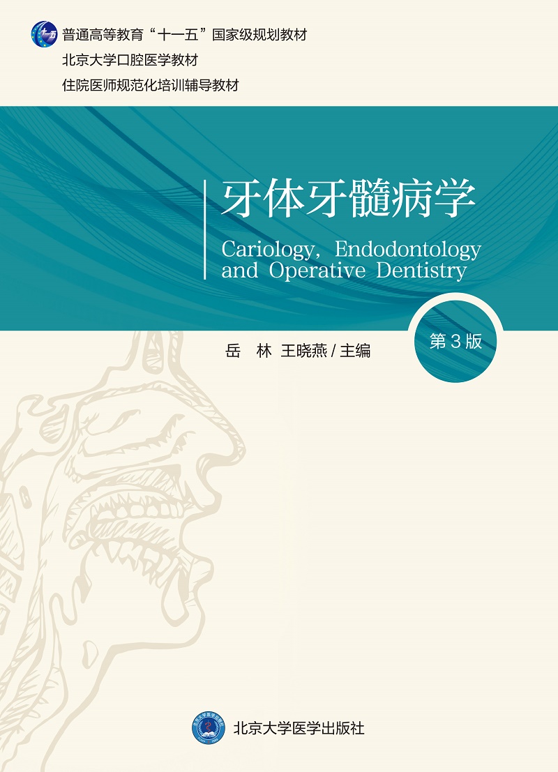牙体牙髓病学 第3三版 岳林 晓燕 主编 北京大学口腔医学教材 住院医师规范化培训辅导教材 北京大学医学出版社 9787565925191 - 图0