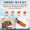 2024新鲜冬虫夏草官方旗舰店0.9克/根头期正品鲜虫草20根共18克装