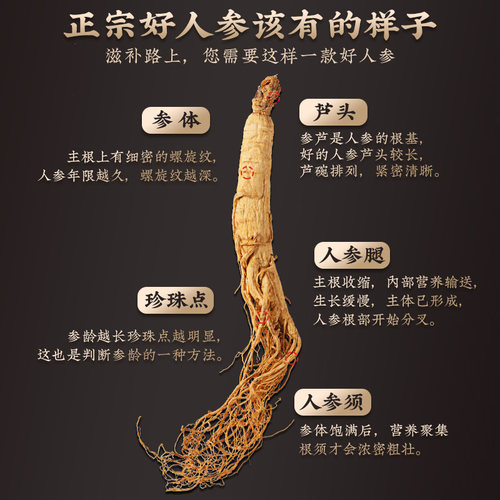 人参长白山人参山参正品林下干参新鲜东北生晒参非中药材干货泡酒 - 图1