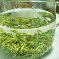 26新茶狗牯脑茶明前茶江西绿茶遂川狗古脑特级500克送罐可配礼盒 - 图0