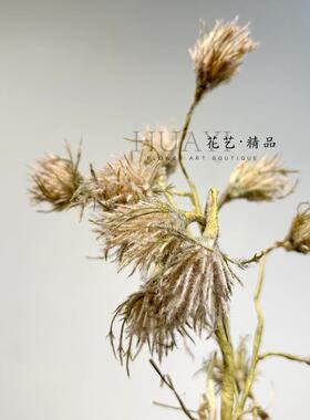 仿真花小众花材蒲公英单只
