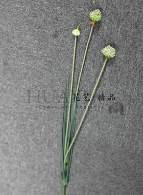仿真花绿色小花葱球蓟花果插花装饰手感花束家居摆件森系风格