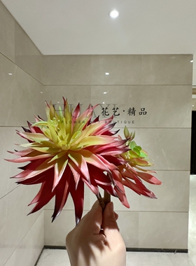 个性小众多肉植物鱼缸爬宠缸造景微景观枯山水搭配苔藓枯木装饰