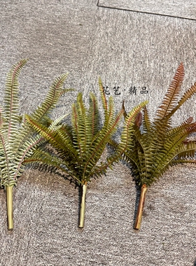 仿真小排草波斯草芒萁叶波士顿蕨狼尾蕨水草爬宠缸造景插花装饰