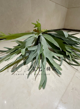 仿真绿植大空气草龙须草龙血树室内装饰摆件软装造景