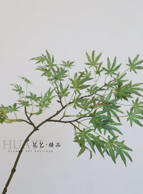 渐变色绿枫叶树叶仿真红枫叶黄色鸡爪槭美国枫大树装饰场景装饰