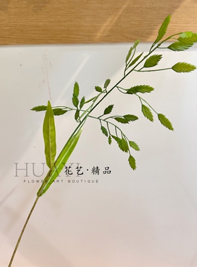 仿真绿叶枝条家居装饰插花假花现代简约摆件小盼草轻盈飘逸素材