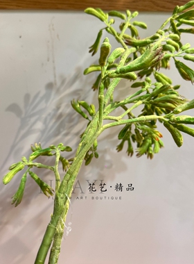 仿真袋鼠爪森系仿真绿植枝条装饰摆件家居氛围感配叶多肉小树枝