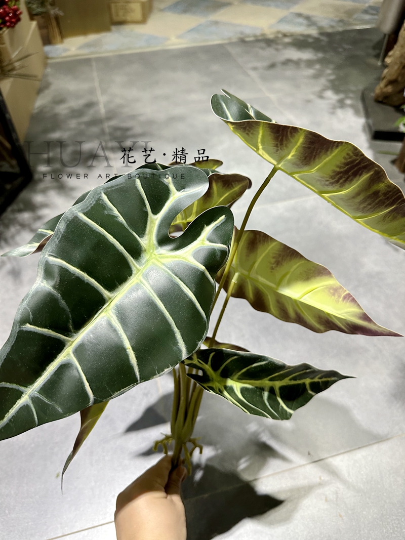 黑天鹅海芋叶孔雀叶仿真树叶植物造景装饰品园林绿化 - 图3