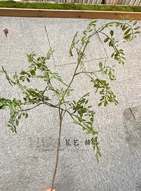 仿真绿叶枝条家居装饰插花假花氛围感摆件南天竹叶南天竺小嫩叶