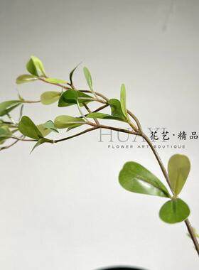 仿真绿植小叶尤加利假花
