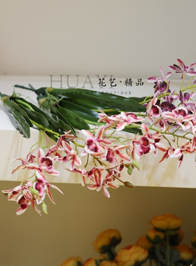 2叉带叶千鸟兰仿真花蕙兰小兰花石斛花软装摆件绿植装饰造景素材