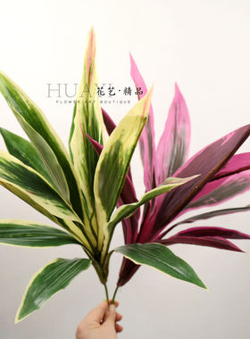 仿真绿叶植物装饰摆件花箱造景彩叶植株巴西木叶剑麻铁树叶多肉
