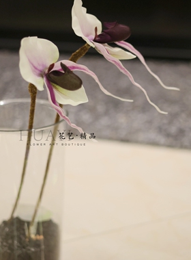 仿真兰花兜兰千鸟兰蕙兰花家居装饰摆件客厅餐桌花艺精品工艺品