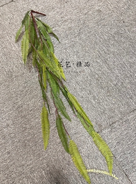 仿真蕨类植物吊兰悬挂绿植波斯草肾蕨波士顿草装饰摆件摄影道具