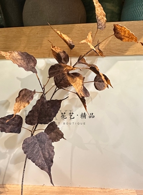咖色红色大树叶枯叶舞台装饰道具仿真秋叶枝条树枝乌桕叶桉树叶