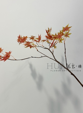 枫叶仿真鸡爪槭红枫叶绿叶
