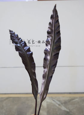 热带大叶材仿真绿叶枝条鸟巢蕨叶巴西木叶深咖色美陈拍摄插花植物