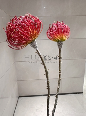 红色系南非针垫仿真针菊花造景花艺装饰花落地摆件婚礼堂装饰