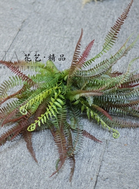 渐变色手感软胶蕨草仿真波斯草波士顿蕨排草卷蕨叶装饰花箱园林