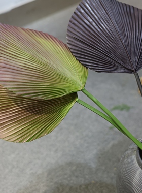 彩色蒲葵叶插花大叶子热带景观棕榈叶仿真树叶扇葵叶插花造景美陈