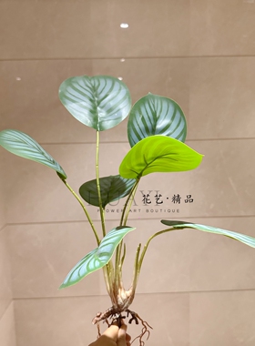 仿真绿植红叶榕室内装饰摆件青苹果叶彩芋叶植物假花龟背竹