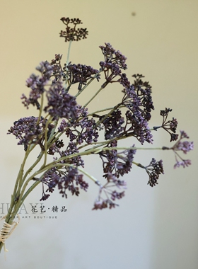 捆扎树枝素材美陈道具仿真尤加利果马桑果枝条装饰花家居摆件
