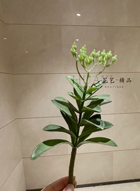 沙漠玫瑰家居装饰花艺布置仿真多肉龙舌兰橱窗造景