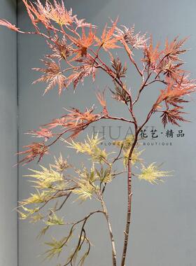 单支造景树枝秋色系枫树叶子