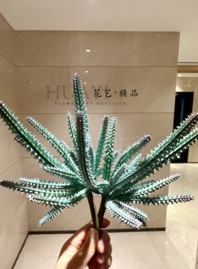 微景观小植物灰绿色仿真绿植仙人掌爬宠缸造景园林景观草插花素材