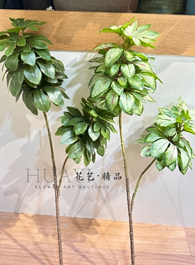 仿真绿植摆件客厅餐厅小众花艺素材木瓜叶八角金盘叶发财树枝叶